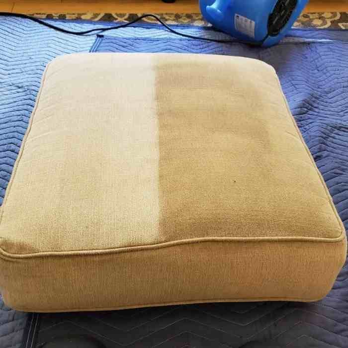 Upholstery Cleaning In Scotch Plains Results 2