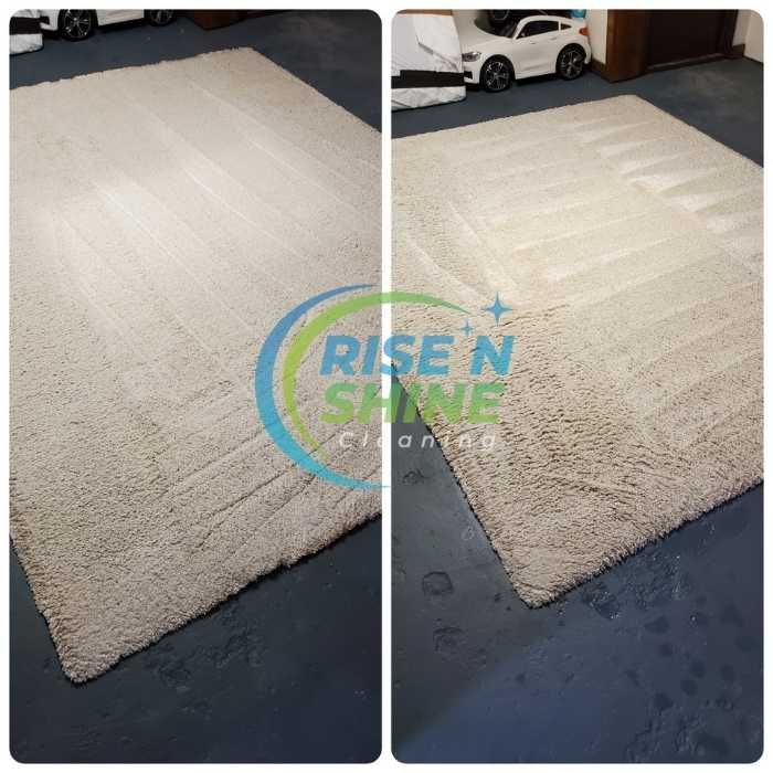 Carpet Cleaning Matawan Nj Results Three