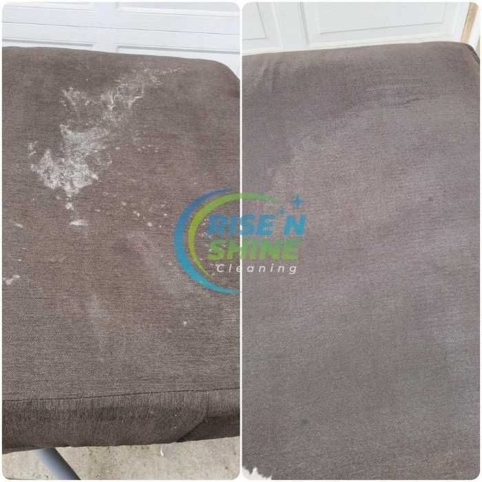 Upholstery Cleaning Carteret Nj Results