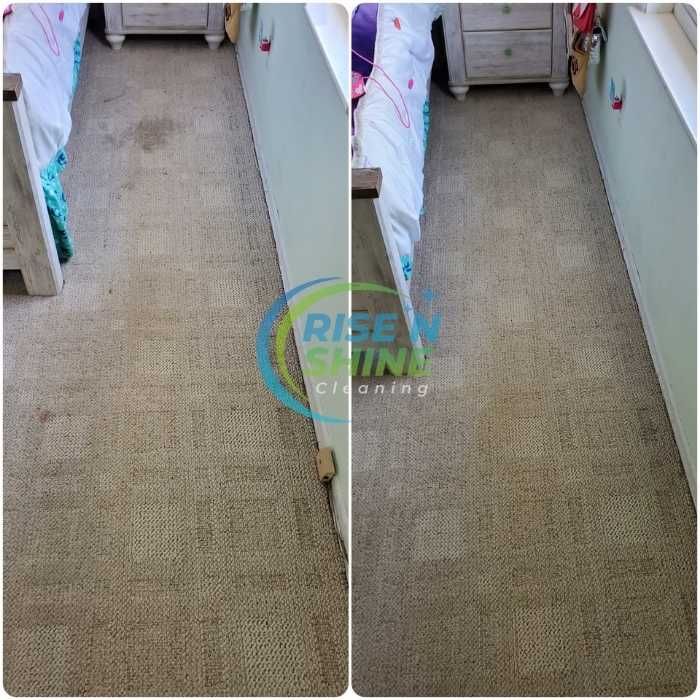 Carpet Cleaning Woodbridge Nj Results Four