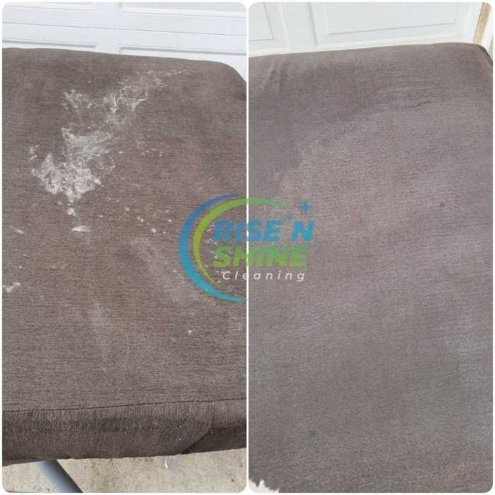 Upholstery Cleaning Milltown Nj Results